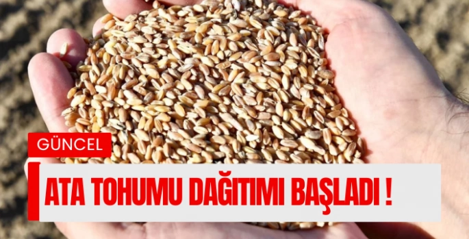 2 MİLYON ATA TOHUMU DAĞITIMI BAŞLADI