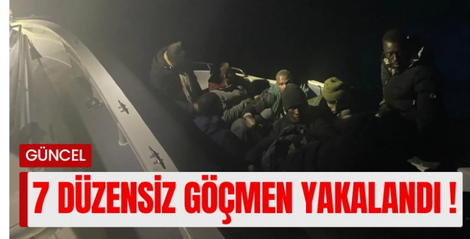 Bodrum'da 7 düzensiz göçmen yakalandı: 1 gözaltı