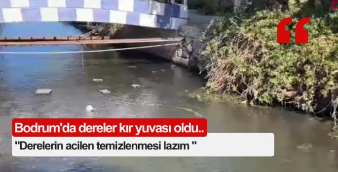 Bodrum'da dereler kir yuvası oldu..