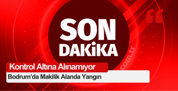 Bodrum’da makilik alanda yangın