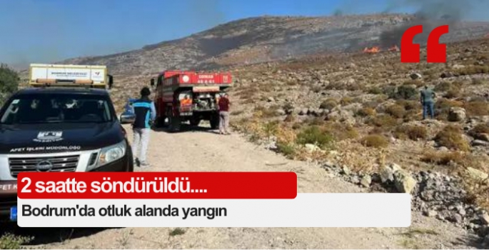 Bodrum'da ot yangını, 2 saatte söndürüldü