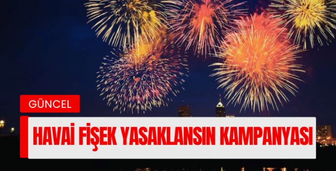 Bodrum’da yılbaşında havai fişek yasaklansın  kampanyası