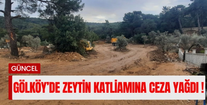 Bodrum Gölköy’de Zeytin Katliamına ceza yağdı