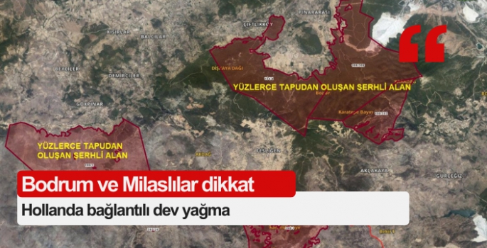 Bodrum ve Milaslılar dikkat: Hollanda bağlantılı dev yağma