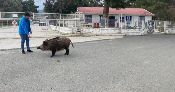 Ceyar bakımevinin müdavimi oldu