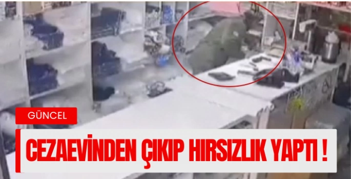 Cezaevinden yeni çıktı, yine hırsızlık yaptı