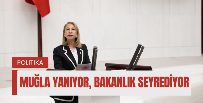 CHP'li vekil sert çıktı: Her yaz Muğla'nın ciğerleri yanıyor, Bakanlık seyrediyor