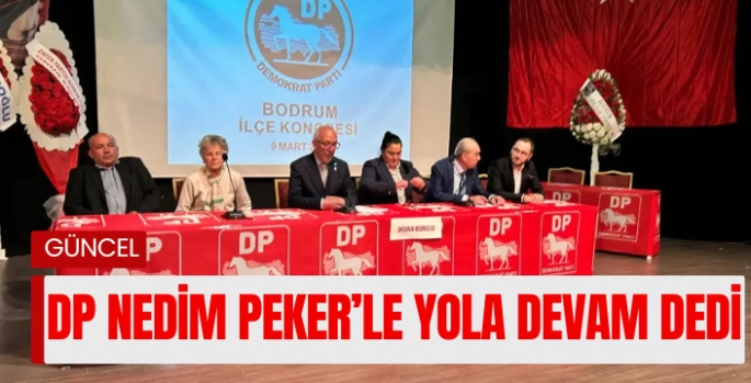 Demokrat partide Nedim Peker tekrar başkan seçildi