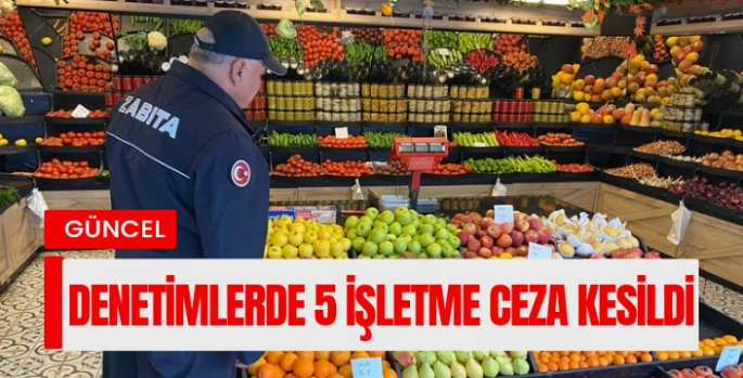 Denetimlerde 15 işletme ceza kesildi 