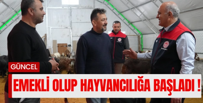 Emekli memur şehir hayatını bıraktı, köyünde hayvancılığa başladı