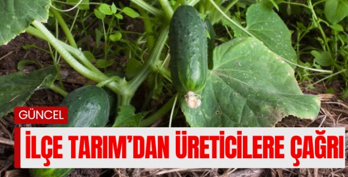 İlçe Tarım’dan üreticilere çağrı