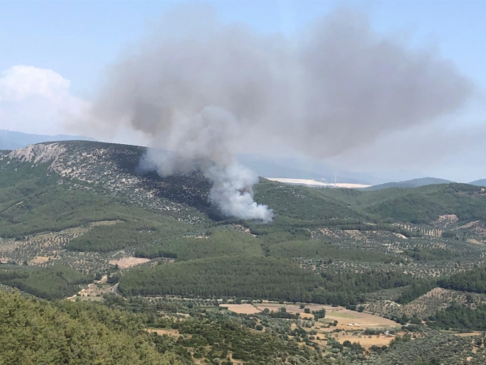 Milas’ta orman yangını!