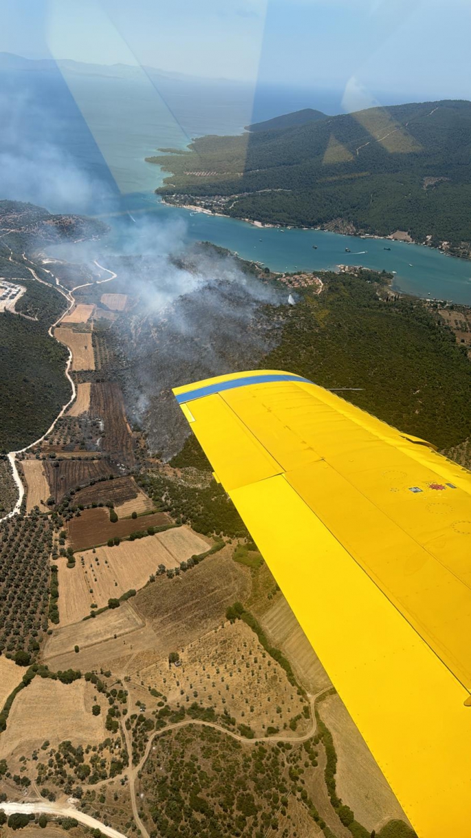 Milas’ta orman yangını 