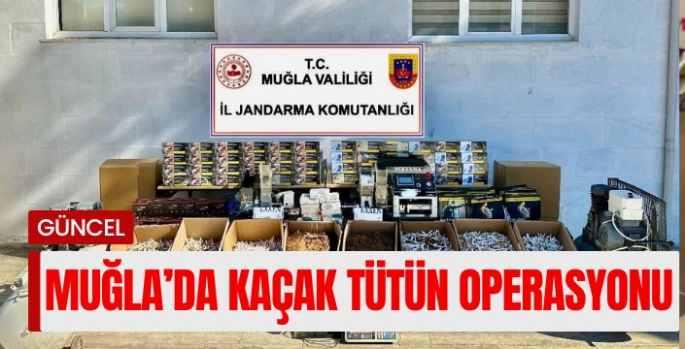 Muğla’da jandarmadan kaçak tütün operasyonu