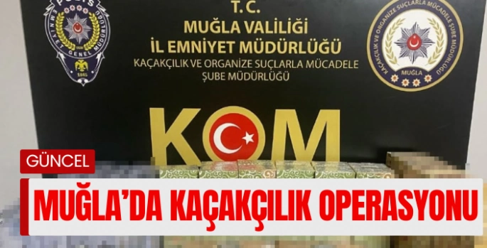 Muğla'da kaçakçılığa geçit verilmedi: 1 tutuklama