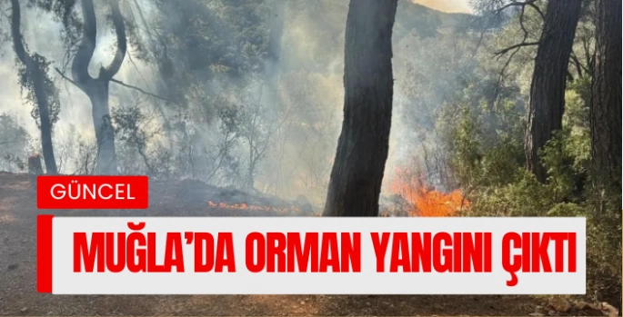 Muğla’da orman yangını çıktı