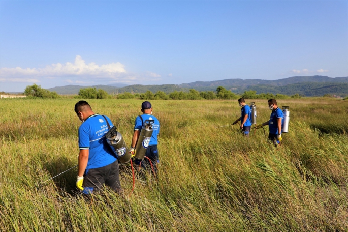 Muğla’da Vektörle Mücadelede Ara Yok