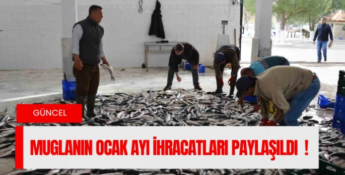 Muğla’nın Ocak ayı ihracatı 80,5 milyon dolar