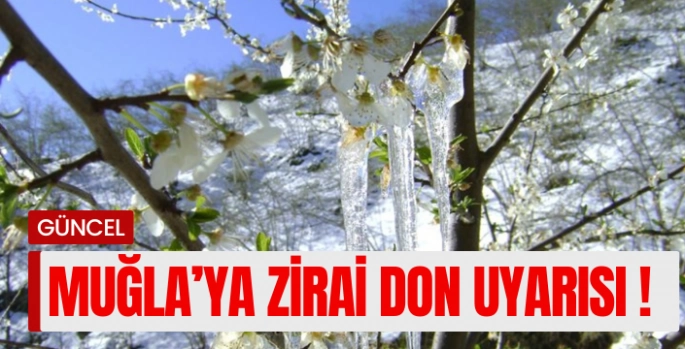 Muğla’nın sahil kesimlerine zirai don uyarısı