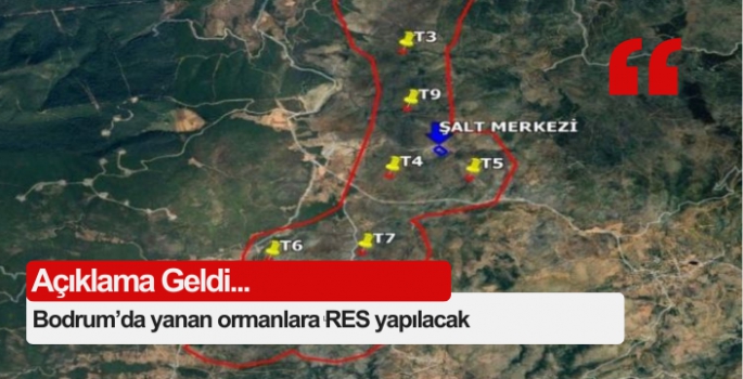 Ormanlar yandı RES yapıyorlar....