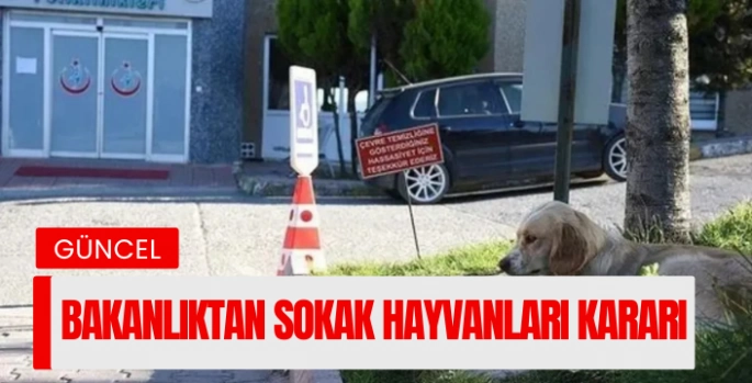 Sağlık Bakanlığı'ndan 81 ile 'hayvan' talimatı