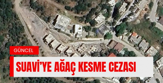 Sanatçı Suavi’ye Ağaç Kesme Cezası