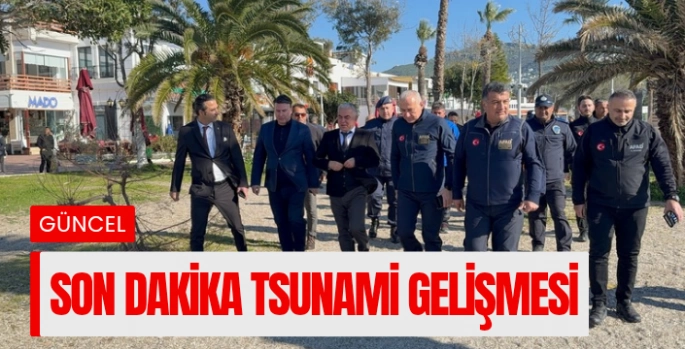 Tsunami Türkiye kıyılarında yıkıcı etki oluşturmaz