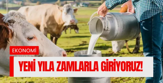 Yeni yıla zamlarla giriyoruz! Yüzde 17'lik zam...