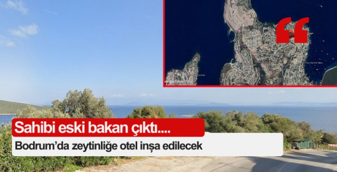 zeytinliğe inşa edilecek otelin sahibi eski bakan çıktı