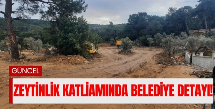 Zeytinlik katliamında Bodrum Belediyesi detayı 