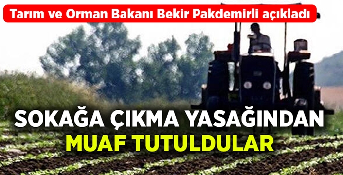 Bakan Pakdemirli açıkladı, sokağa çıkma yasağından muaf edildiler