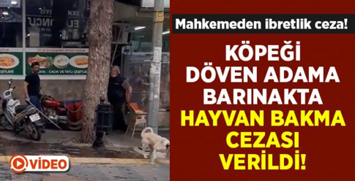 Çubukla köpek döven adama ibretlik ceza!