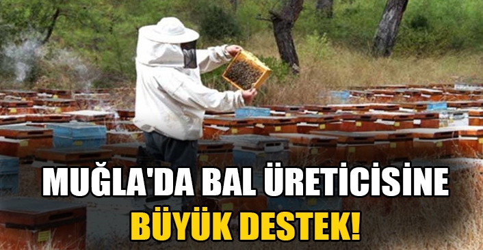 Muğla'da bal üreticisine büyük destek!