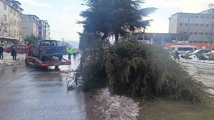 Orduda kontrolden çıkan pikap ağaca çarptı: 1 yaralı